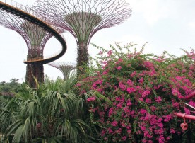 Les champignons métalliques du parc de Marina Bay Sands.